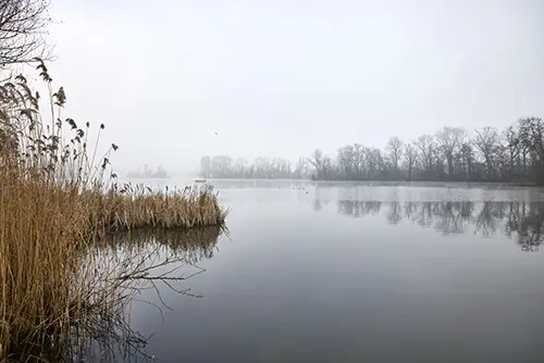 Winter morning - Donkmeer, Belgium